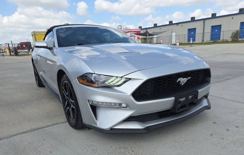 2019 Ford Mustang