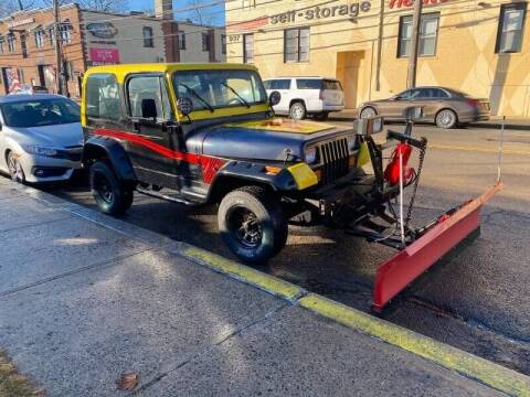 1994 Jeep Wrangler for sale at Deleon Mich Auto Sales in Yonkers NY