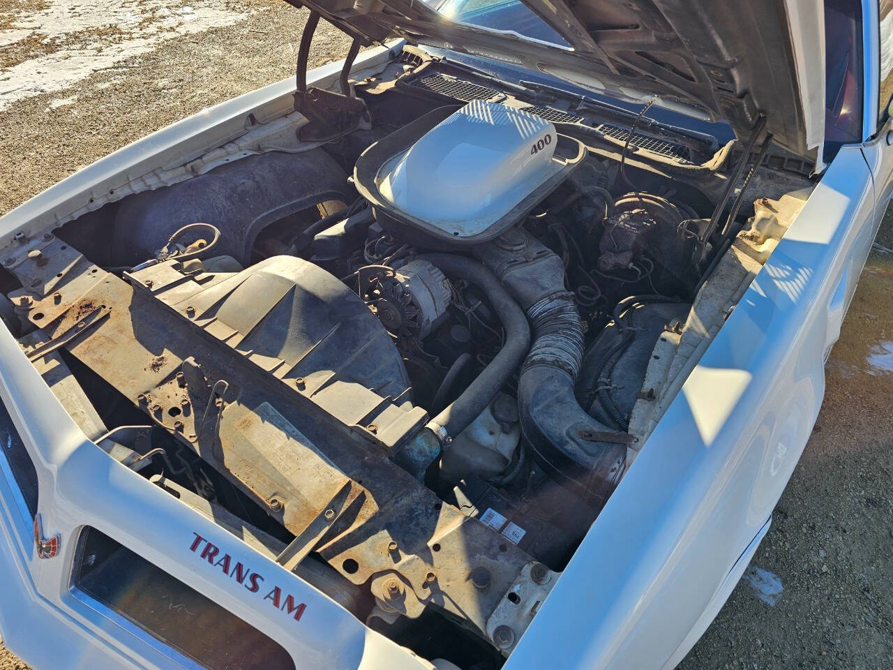 1976 Pontiac Trans Am 598