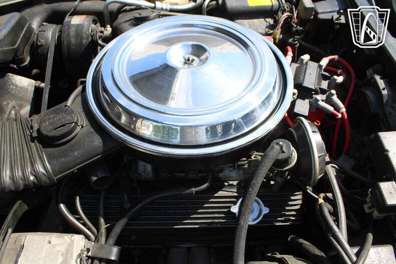 1981 Chevrolet Corvette