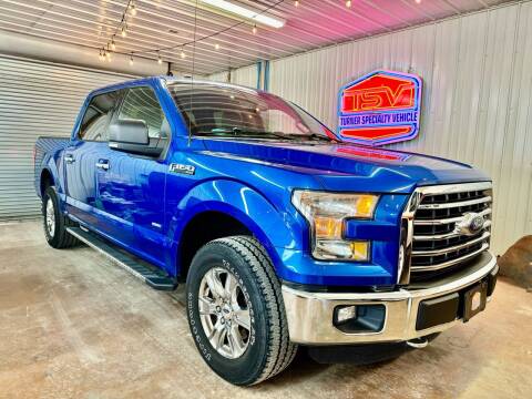 2016 Ford F-150 for sale at Turner Specialty Vehicle in Holt MO
