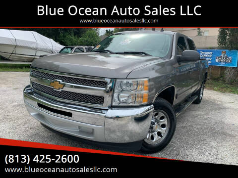 2013 Chevrolet Silverado 1500 for sale at Blue Ocean Auto Sales LLC in Tampa FL