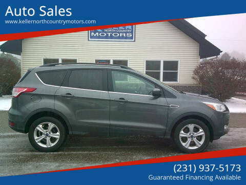 2015 Ford Escape for sale at Auto Sales in Howard City MI