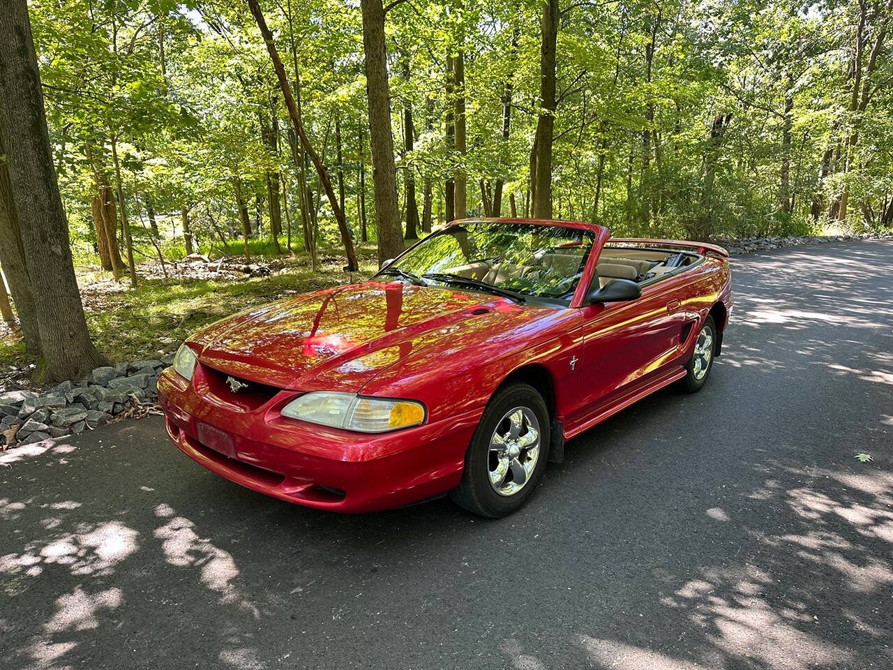 1998 Ford Mustang for sale at Froggy Cars LLC in Hamburg, NJ