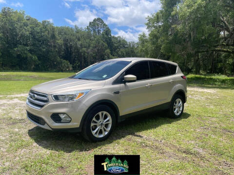2017 Ford Escape for sale at TIMBERLAND FORD in Perry FL