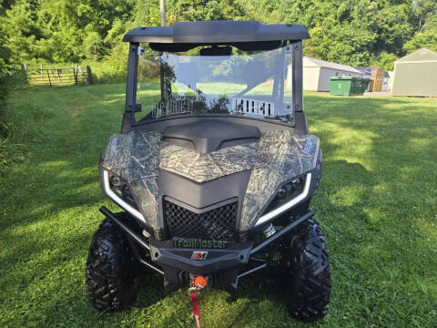 2025 TrailMaster Panther 550 Pro
