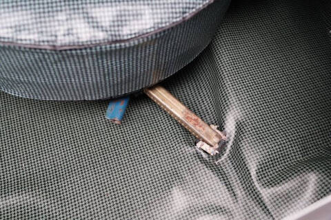 1970 Pontiac Firebird Trans Am