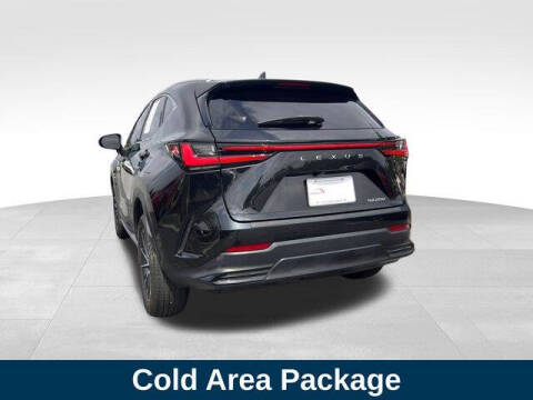 2024 Lexus NX 250 Premium