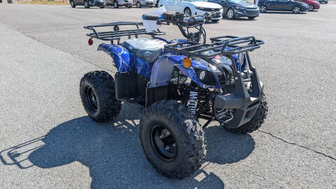 2026 TrailMaster B125