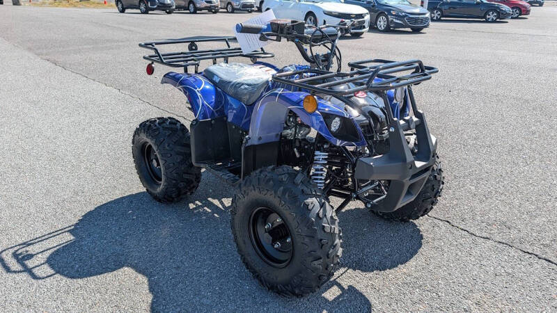 2026 TrailMaster B125