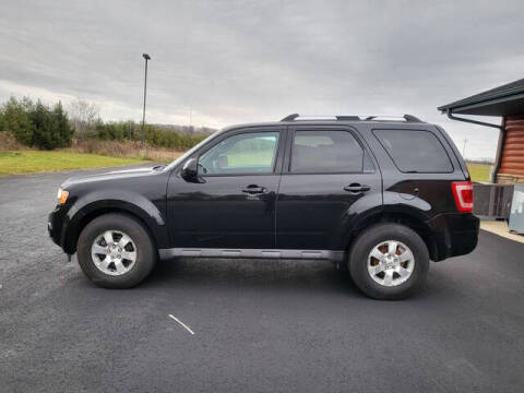 2011 Ford Escape Limited
