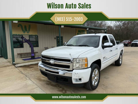 2009 Chevrolet Silverado 1500 for sale at Wilson Auto Sales in Chandler TX