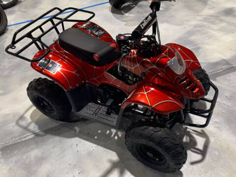 2019 Coolster Mountopz 110