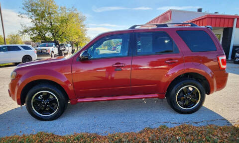 2010 Ford Escape XLT