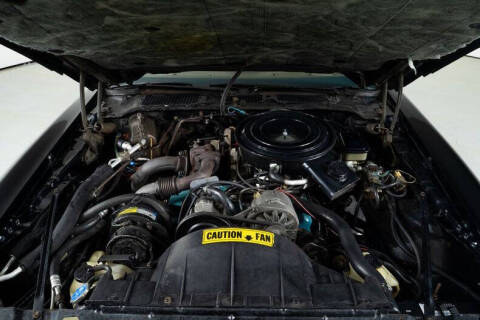 1981 Pontiac Trans Am