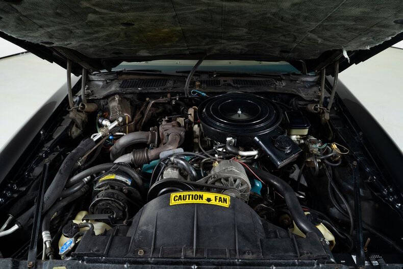 1981 Pontiac Trans Am