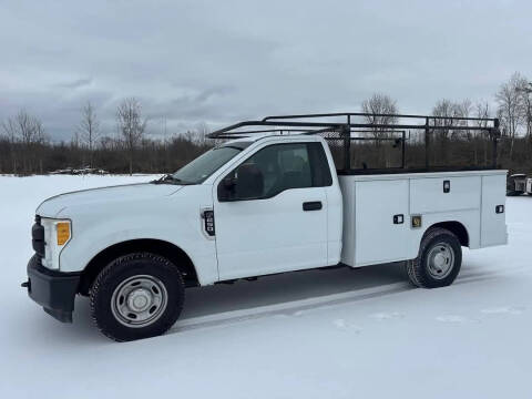 2017 Ford F-250 Super Duty for sale at Momber Sales in Sparta MI