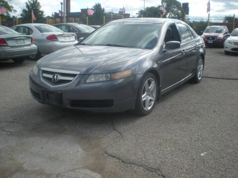 2006 Acura TL for sale at Automotive Group LLC in Detroit MI