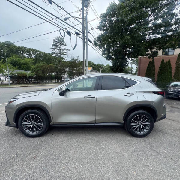 2022 Lexus NX 350