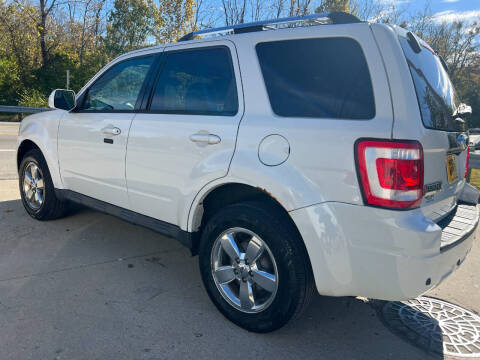 2011 Ford Escape Limited