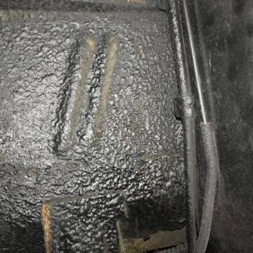 1955 Ford Thunderbird