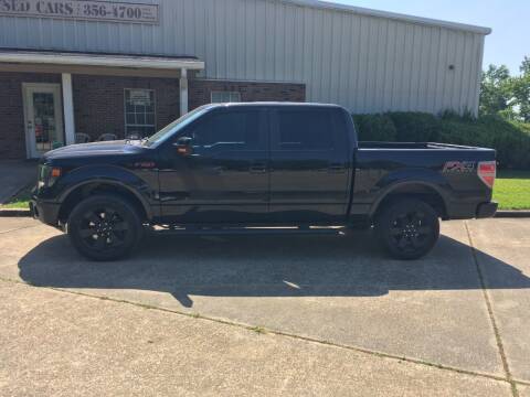 2014 Ford F-150 for sale at ALLEN JONES USED CARS INC in Steens MS