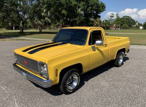 1979 GMC Sierra 1500 for sale at P J'S AUTO WORLD-CLASSICS in Clearwater FL