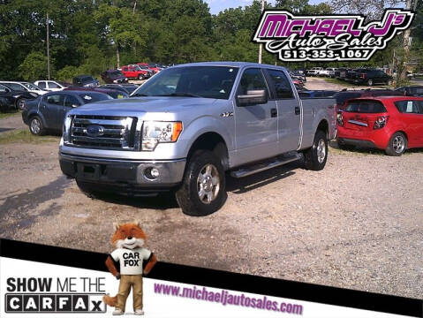 2012 Ford F-150 for sale at MICHAEL J'S AUTO SALES in Cleves OH