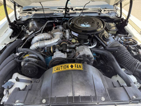 1981 Pontiac Firebird Trans Am