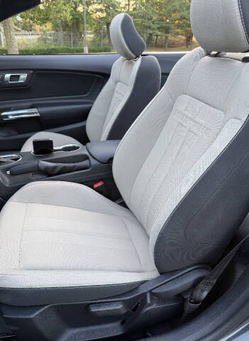 2019 Ford Mustang EcoBoost