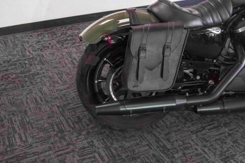 2021 Harley-Davidson Iron 883