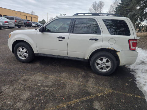 2011 Ford Escape XLT