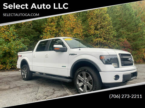 2013 Ford F-150 for sale at Select Auto LLC in Ellijay GA