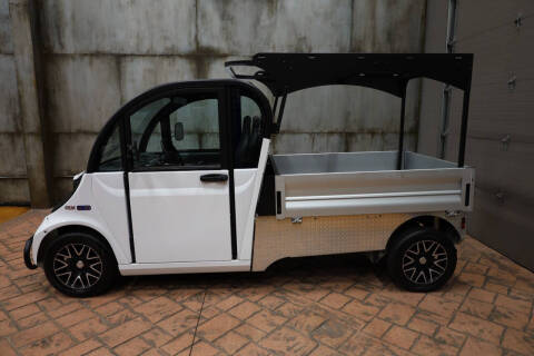 2022 Polaris GEM