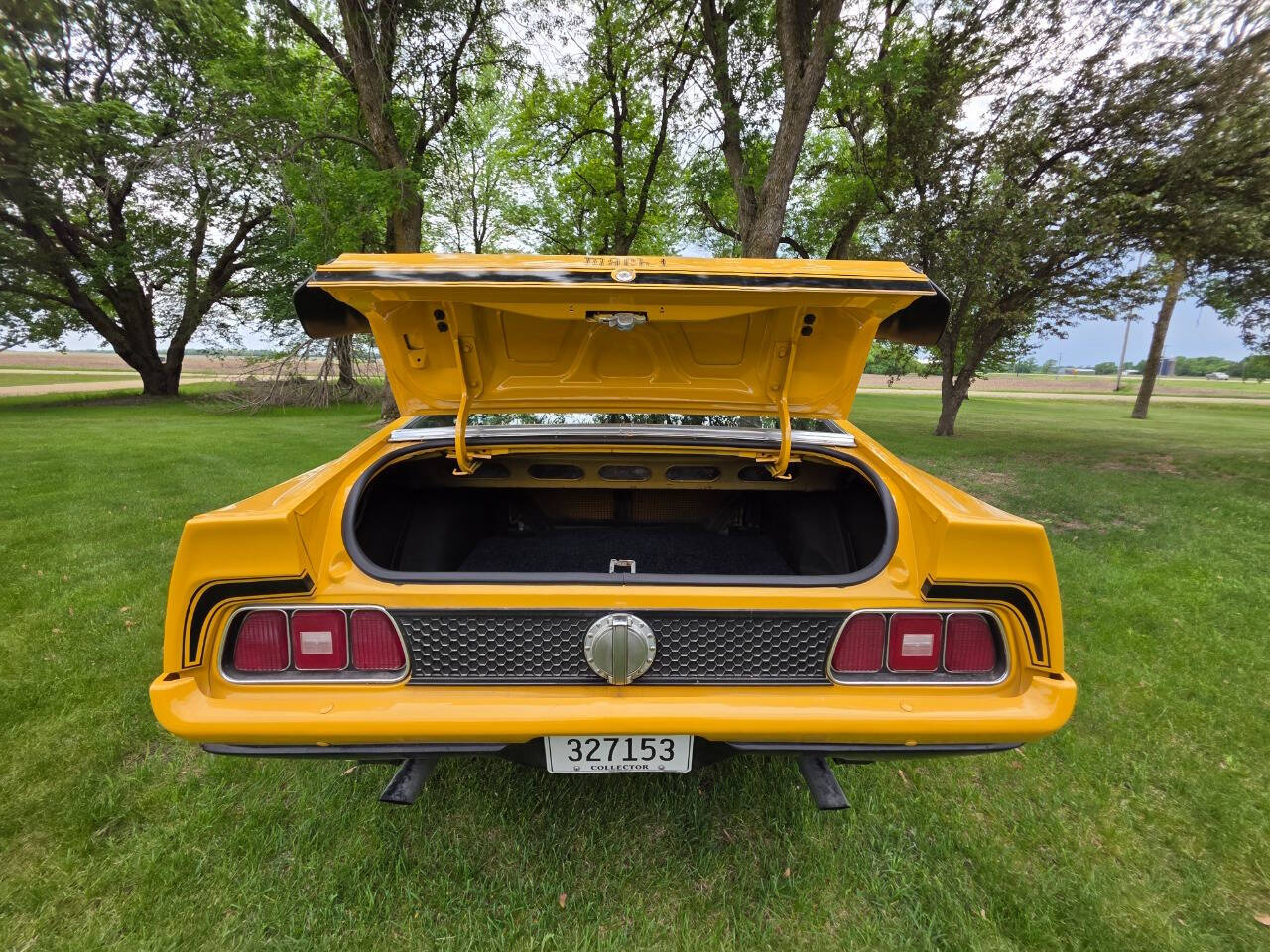 1971 Ford Mustang 188