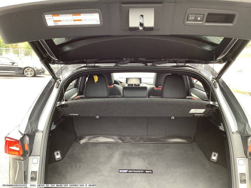2021 Lexus NX 300 F SPORT