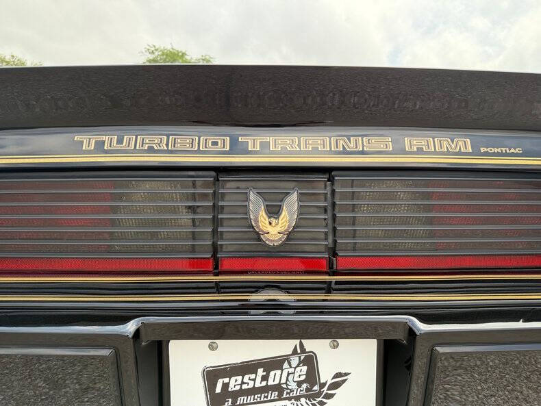 1981 Pontiac Firebird Trans Am