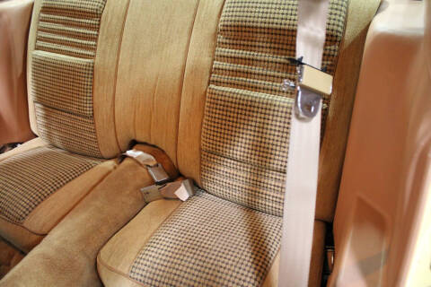 1980 Pontiac Firebird