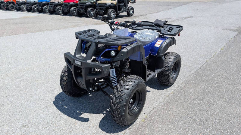 2025 TrailMaster 200 Utility