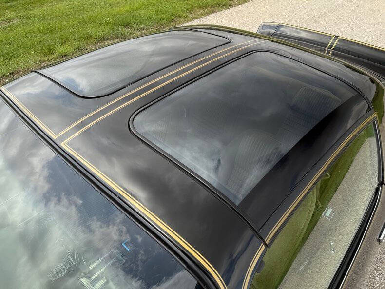 1981 Pontiac Firebird Trans Am