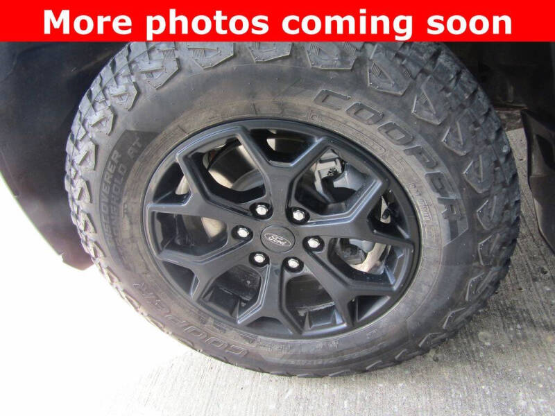2023 Ford Expedition Timberline