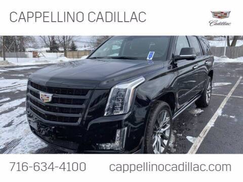 2019 Cadillac Escalade for sale at Cappellino Cadillac in Williamsville NY