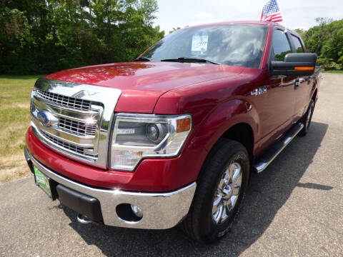 2014 Ford F-150 for sale at American Auto Sales in Forest Lake MN