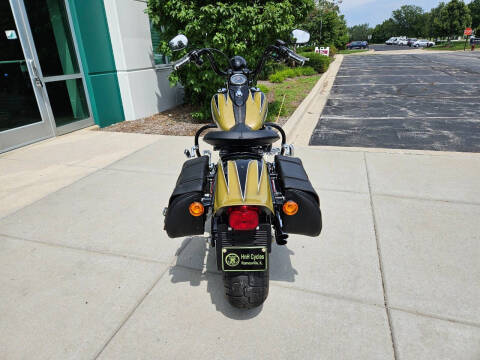 2009 Harley-Davidson FLSTSB CrossBones