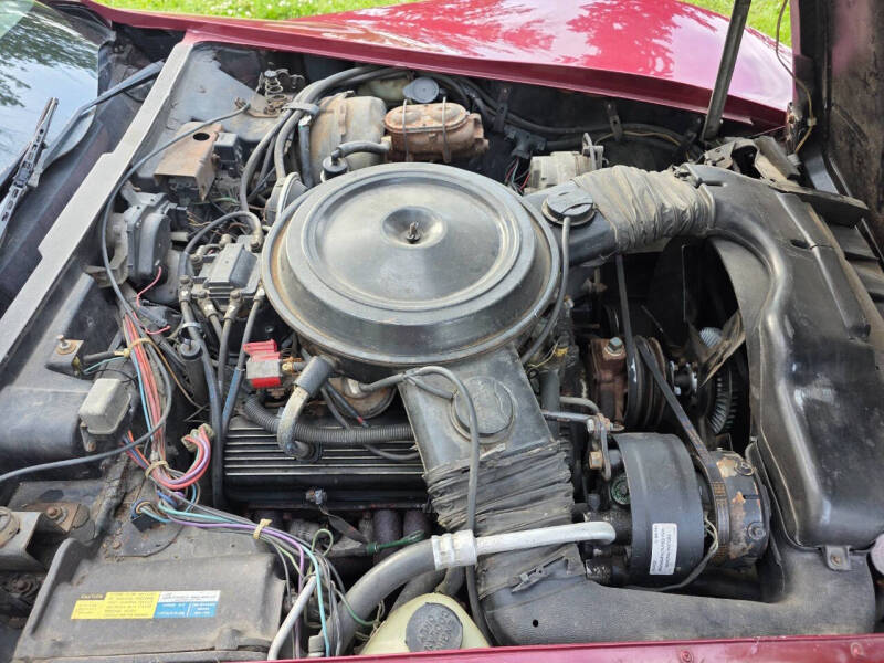 1981 Chevrolet Corvette