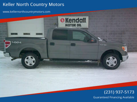 2012 Ford F-150 for sale at Keller North Country Motors in Howard City MI