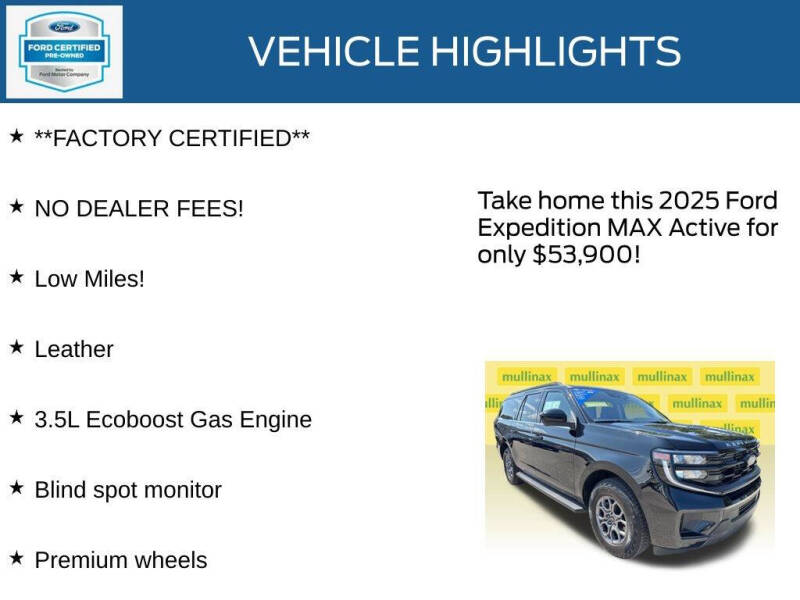 2025 Ford Expedition MAX Active
