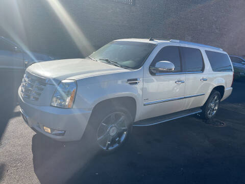 2011 Cadillac Escalade ESV for sale at RON'S AUTO SALES INC in Cicero IL