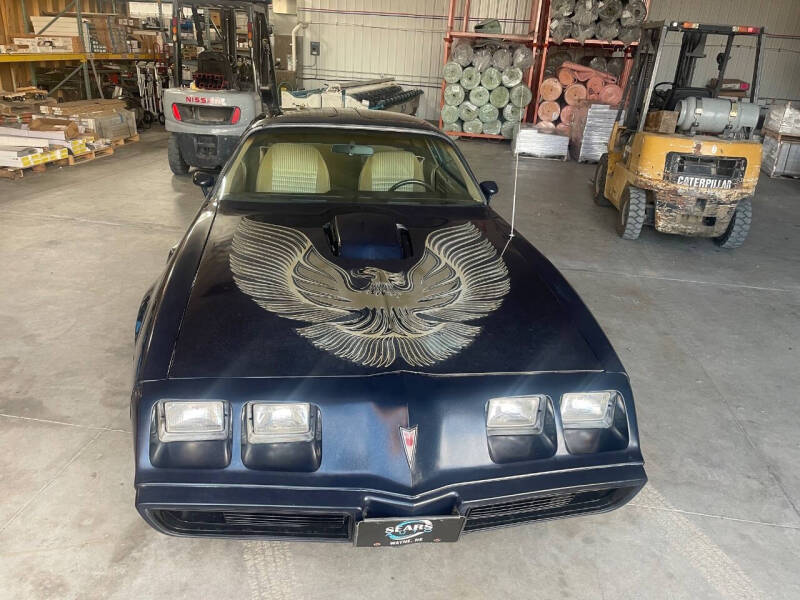 1981 Pontiac Firebird Trans Am