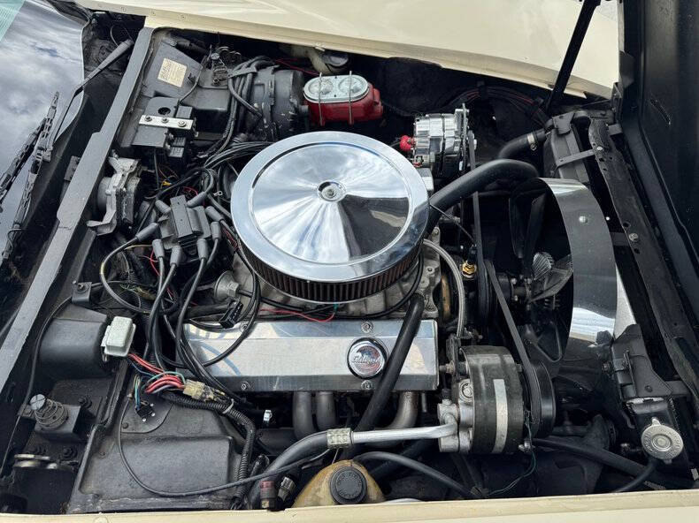 1981 Chevrolet Corvette